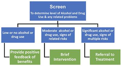 Evidence for the Effectiveness and Acceptability of e-SBI or e-SBIRT in the Management of Alcohol and Illicit Substance Use in Pregnant and Post-partum Women